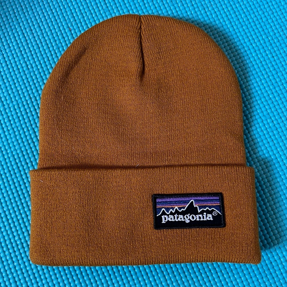 Patagonia Winter Hat